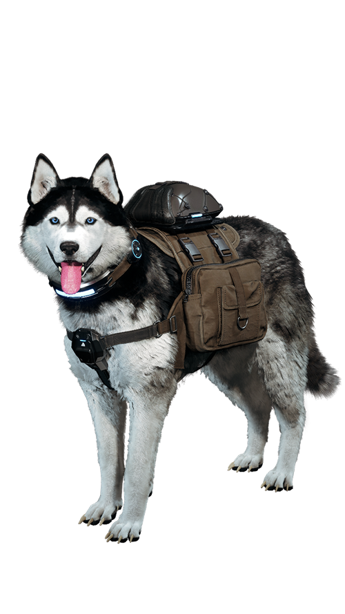 The First Descendant Update 1.3.3